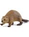 Figurina Schleich Wild Life - Castor care merge - 1t