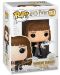 Figurina Funko Pop! Harry Potter - Hermione with Feather - 2t