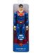 Figurina Spin Master Deluxe - Superman, 30 cm - 1t