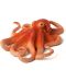 Figurină Mojo Sealife - Octopus  - 1t