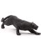 Figurina Papo Wild Animal Kingdom – Pantera neagra - 5t
