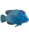 Figurină Mojo Sealife - mreană albastră - 1t