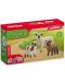 Figurină Schleich - Prieteni oi - 5t