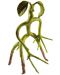 Figurina Noble Collection Fantastic Beasts - Bowtruckle, 20 cm - 1t
