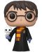 Figurina Funko Pop! Harry Potter: Wizarding World - Harry Potter With Hedwig #01 - 1t