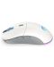 Mouse de gaming Endorfy - GEM Plus, optic, fără fir, Onyx White - 4t