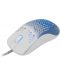 Set mouse și pad pentru gaming  White Shark - MEGALODON, син/alb  - 4t