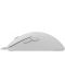 Mouse gaming  White Shark - GRAPHENE, optic, alb - 4t