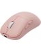 Mouse gaming  White Shark - AERO, optic, wireless, roz - 3t