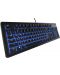 Tastatura gaming SteelSeries - Apex 100, LED, neagra - 2t