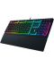 Tastatura de gaming Razer - Ornata V3, RGB, neagra - 4t