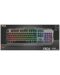 Tastatura mecanica Trust - GXT 853 Esca, RGB, gri - 3t