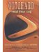 Gotthard - More Than Live (DVD) - 1t