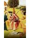 Hieronymus Bosch Tarot (78 Cards and Guidebook) - 6t