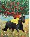 Horse and Pony Stories (Miles Kelly) - 1t