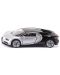 Masinuta metalica Siku Private cars - Masina sport Bugatti Chiron - 1t