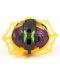 Set joc  Bakugan - Special Attack Spidra - 3t