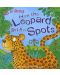 Just So Stories: How the Leopard got his Spots (Miles Kelly) - 1t