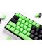 Taste pentru tastatura mecanica Ducky - Green, 31-Keycap Set, verde - 2t