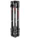 Trepied Manfrotto Carbon - Befree GT Xpro - 3t