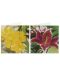 Carduri de pictură cu mărgele Grafix - Flori, 2 bucăți, 13 x 13 cm - 3t