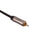 Cablu pentru subwoofer QED - Reference Subwoofer 40, 2x RCA, 3 m, negru - 2t