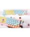 Taste pentru tastatura mecanica Ducky - Cotton Candy, 108-Keycap Set - 2t