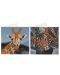 Grafix Bead Painting Cards - Animale, 2 bucăți, 13 x 13 cm - 3t