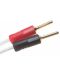 Cablu pentru boxe  QED - XT25, 3m, 2 buc, alb - 2t
