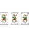 Carti pentru joc Piatnik - model  Bridge-Poker-Whist, maro - 2t