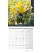 Calendar Ackermann - Buchete, 2024 - 3t