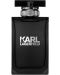 Karl Lagerfeld Apă de toaletă Pour Homme, 100 ml - 1t