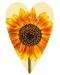 Felicitare Gespaensterwald - Tag, Floarea Soarelui - 1t