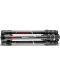 Trepied Manfrotto Carbon - Befree GT Xpro - 4t