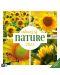 Calendar Ackermann - Culorile naturii, 2024 - 1t