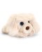 Câine de pluș Keel Toys - Labradoodle, 25 cm - 1t