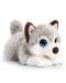 Câine de pluș Keel Toys - Husky, 25 cm - 1t