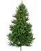 Brad de Crăciun Alpina - Molid sălbatic, 150 cm, Ф 55 cm, verde - 1t