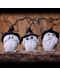 Set de statuete Nemesis Now Adult: Humor - Three Wise Feathered Familiars, 9 cm - 5t