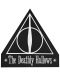 Set petice textile Cinereplicas Movies: Harry Potter - Deathly Hallows - 3t