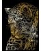 Set de gravură Royal Gold - Leopard, 13 x 18 cm - 1t