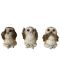 Set de statuete Nemesis Now Adult: Gothic - Three Wise Brown Owls, 7 cm - 1t