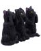 Set de statuete Nemesis Now Adult: Humor - Three Wise Felines, 8 cm - 4t