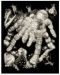 Set de gravură Royal - Tarantulă, 20 x 25 cm - 1t