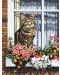 Set de desen pe panza Royal - Pisica la fereastra, 23х30 cm - 1t