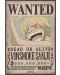 GB eye Animation: One Piece - Zoro & Sanji Wanted Postere (Seria 1) - 3t