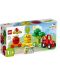 Constructor LEGO Duplo - Tractor pentru fructe și legume - 1t