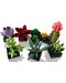 Constructor LEGO Icons Botanical - Suculent (10309) - 3t