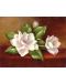 Set de desen cu vopsele acrilice Royal Masterpiece - Magnolii, 23х30 cm - 1t