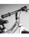 Bicicletă de echilibru Cariboo - Adventure, alb/roz - 5t